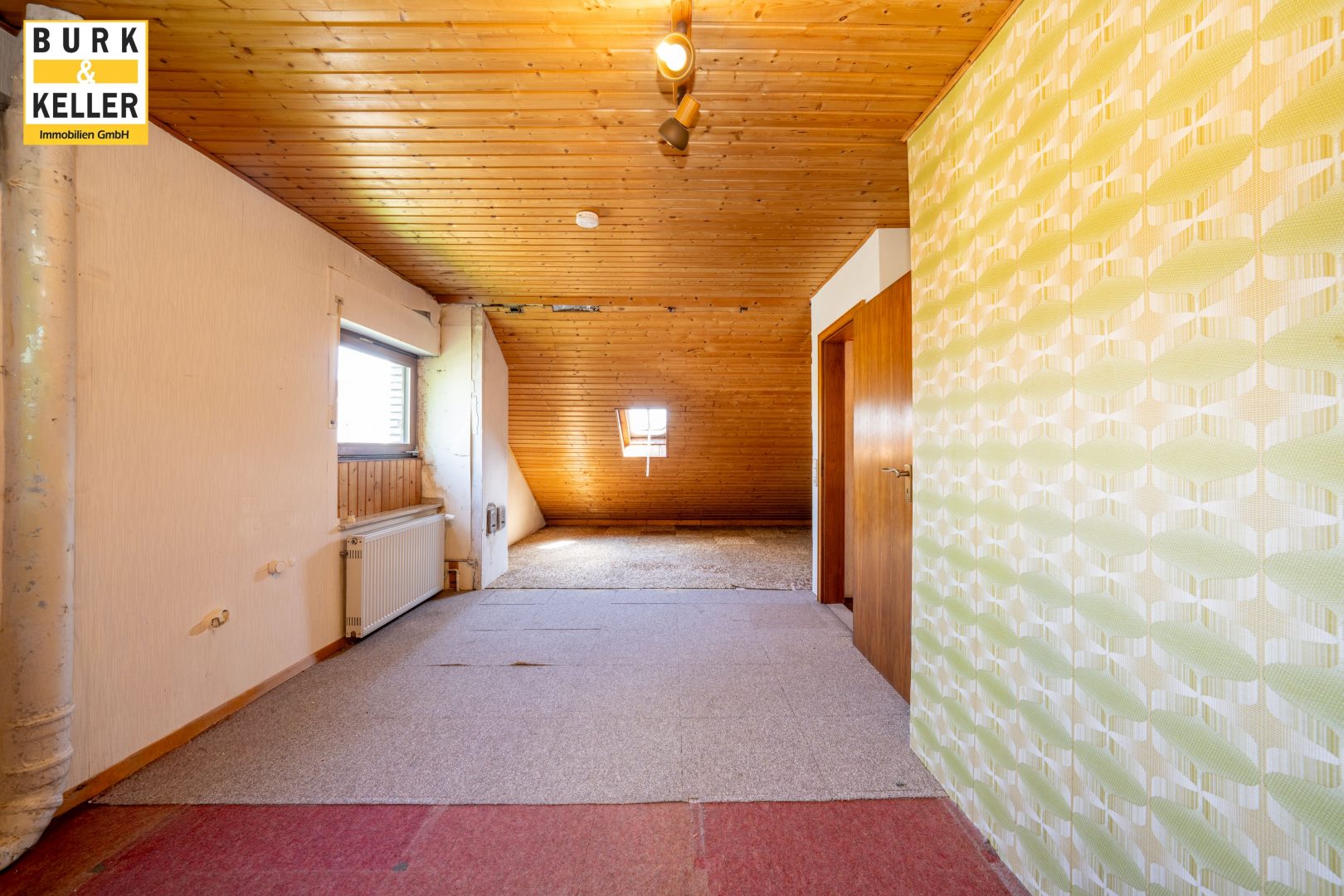 DG_Studio_II