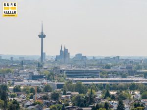 Domblick